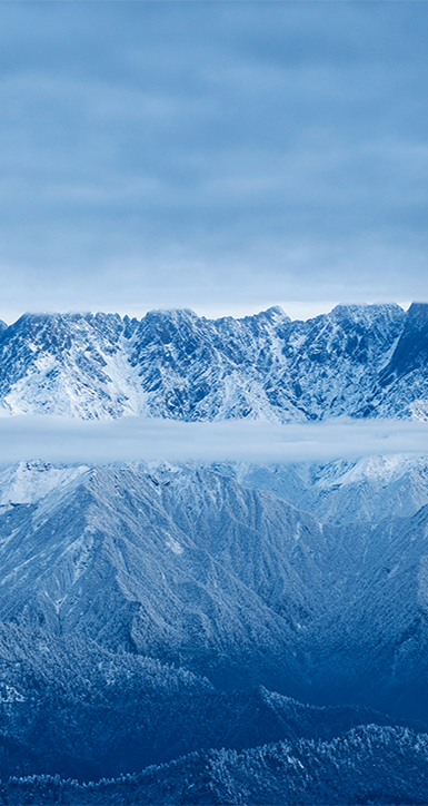 ����AG8�콢��